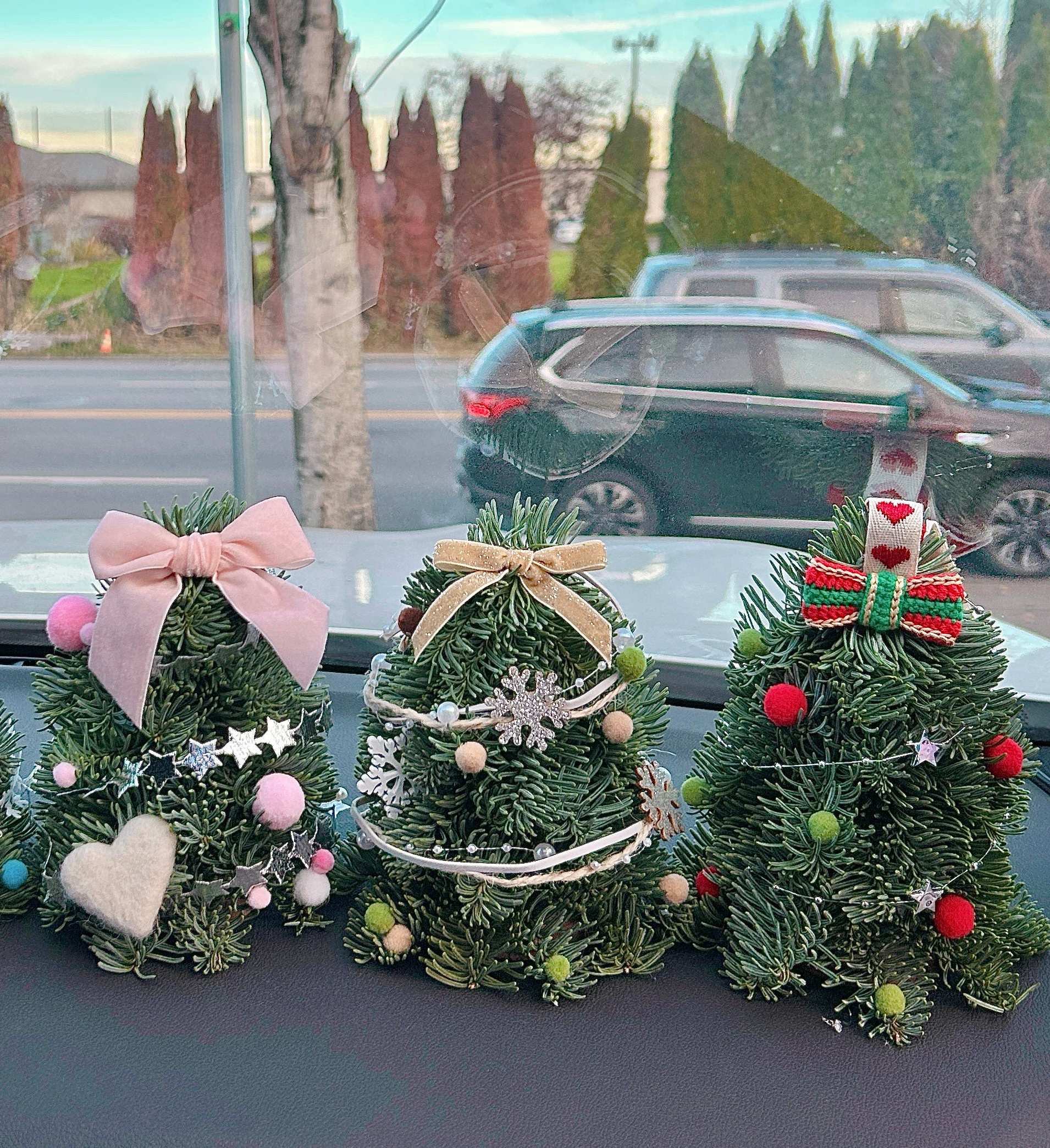 Fresh Mini Christmas Tree