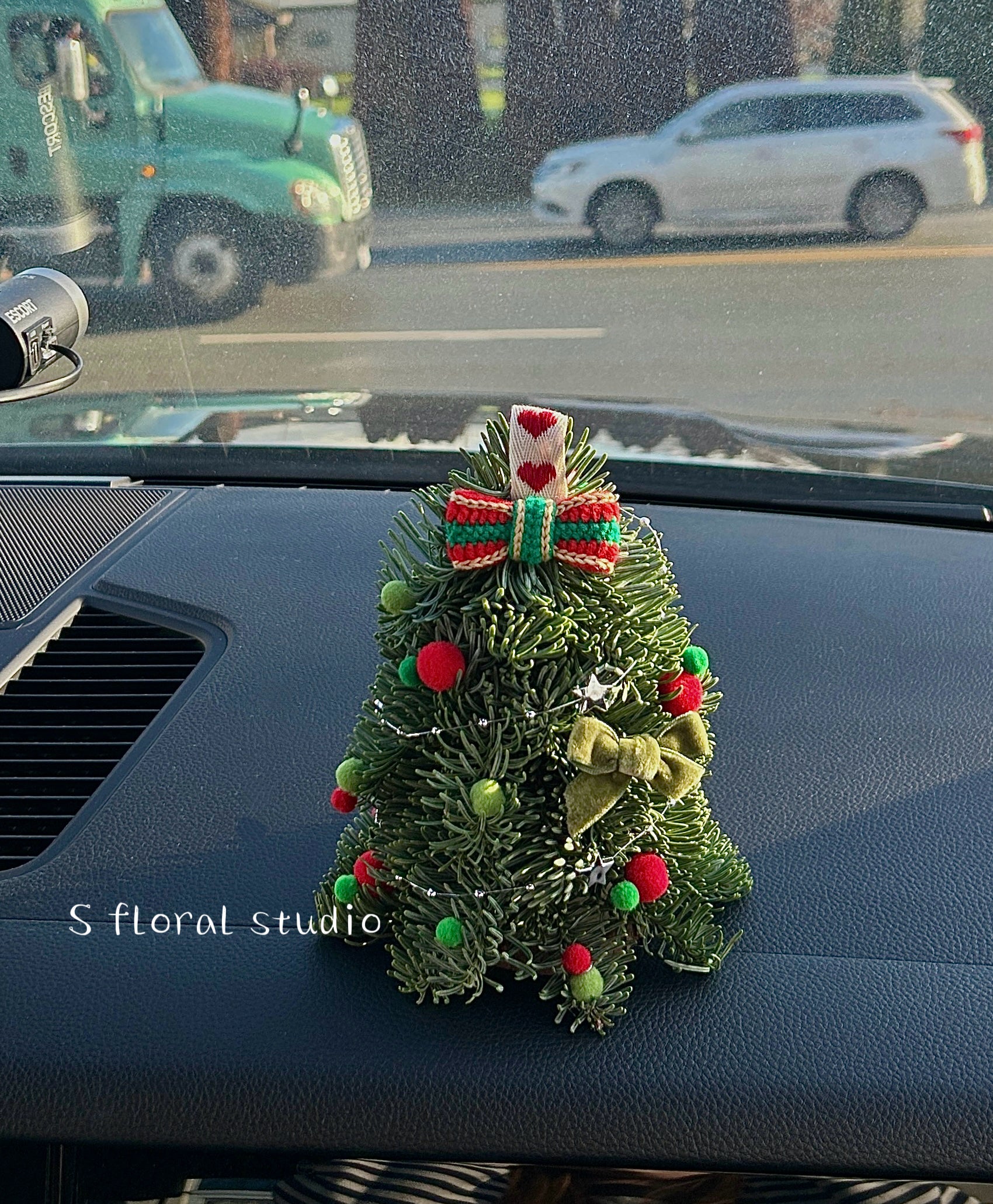 Fresh Mini Christmas Tree