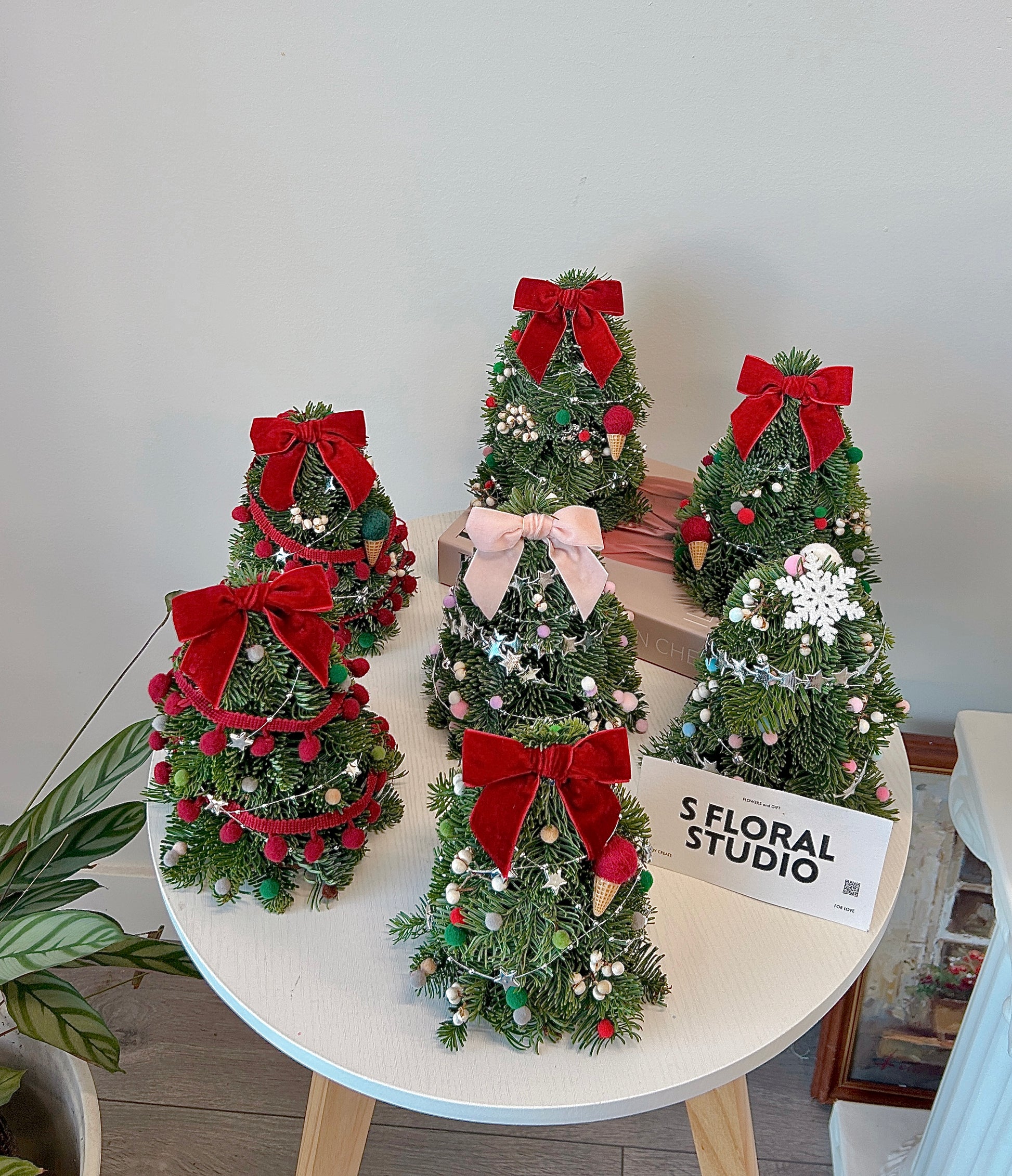 Fresh Mini Christmas Tree